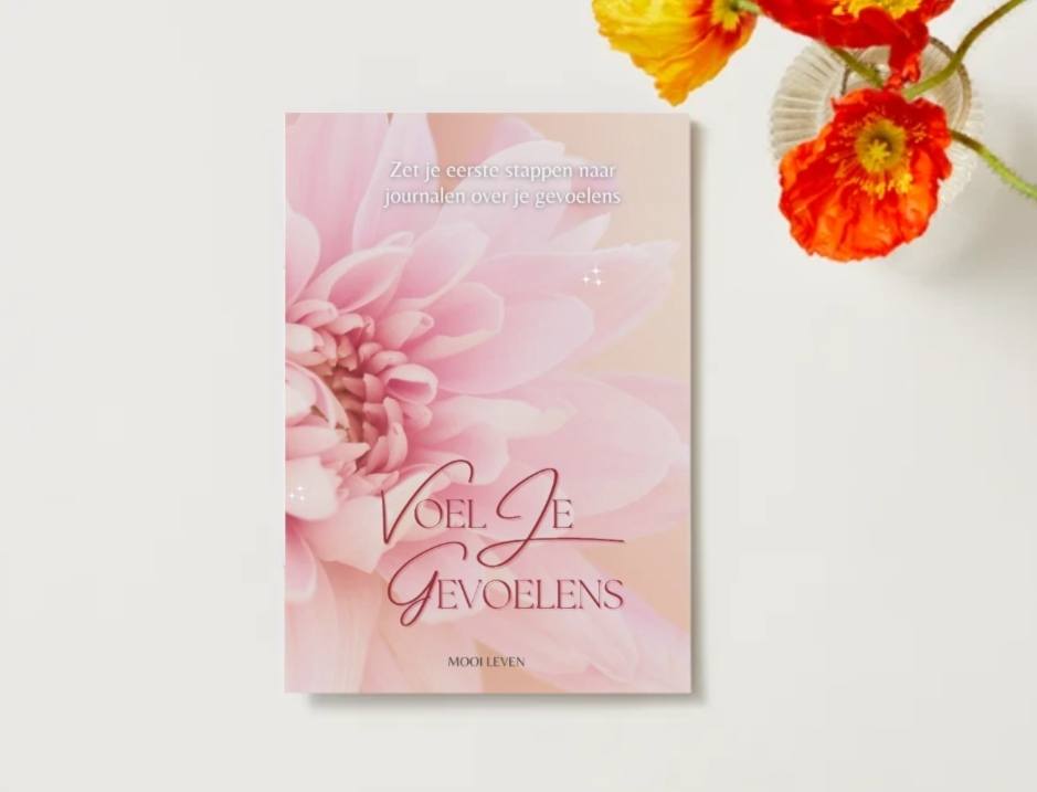 Voel je gevoelens: de eerste stap naar journalen over je gevoelens. PRESALE